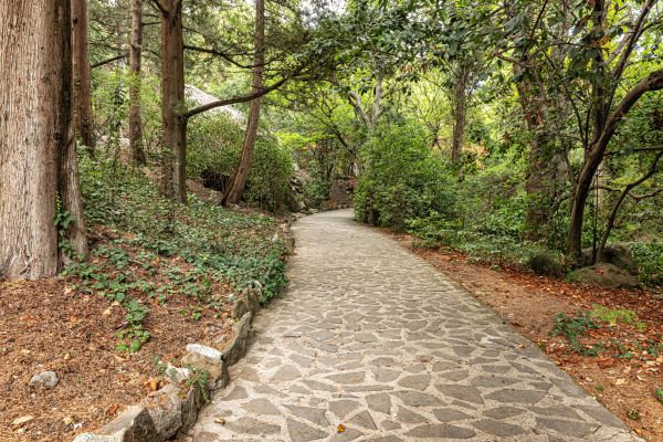 Stone Walkway Repair in Westminster