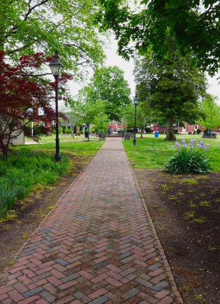 Brick Pathway Repair in Westminster
