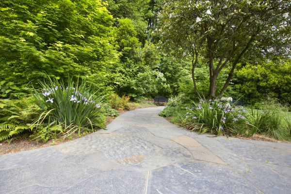 Stone Hardscape Service in Westminster