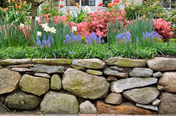 Garden Wall Installation in Westminster
