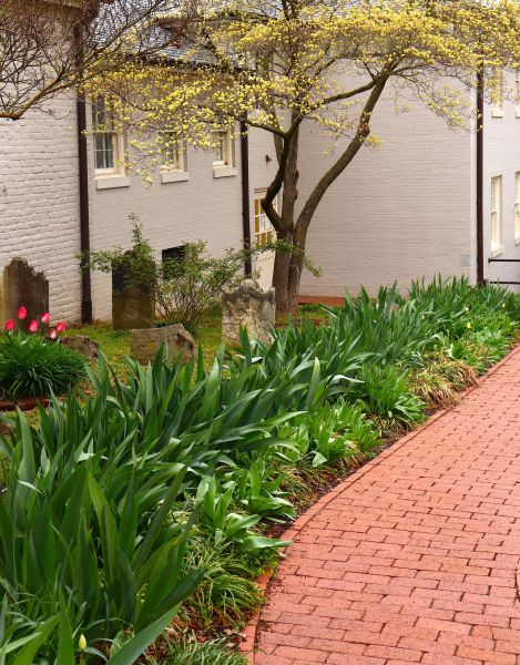 Brick Flatwork Repair in Westminster